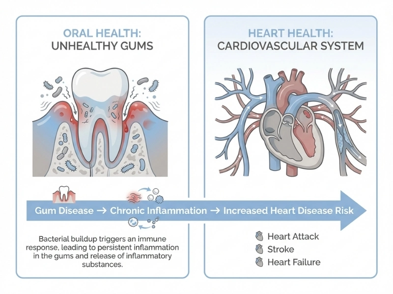 Addressing Health Disparities in Oral and Heart Health