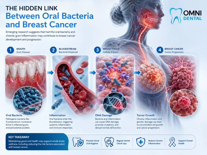 How Fusobacterium Nucleatum Affects Cancer Cells