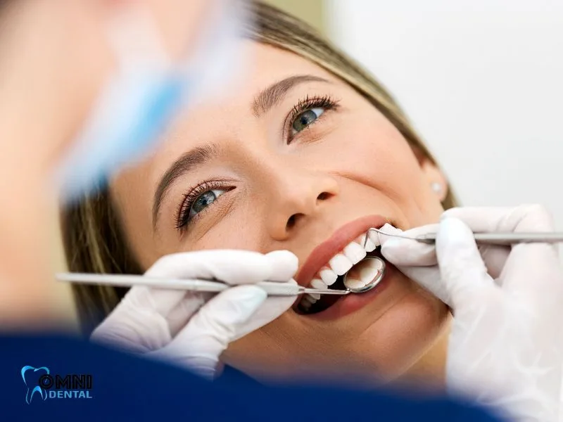 what is dental arch?